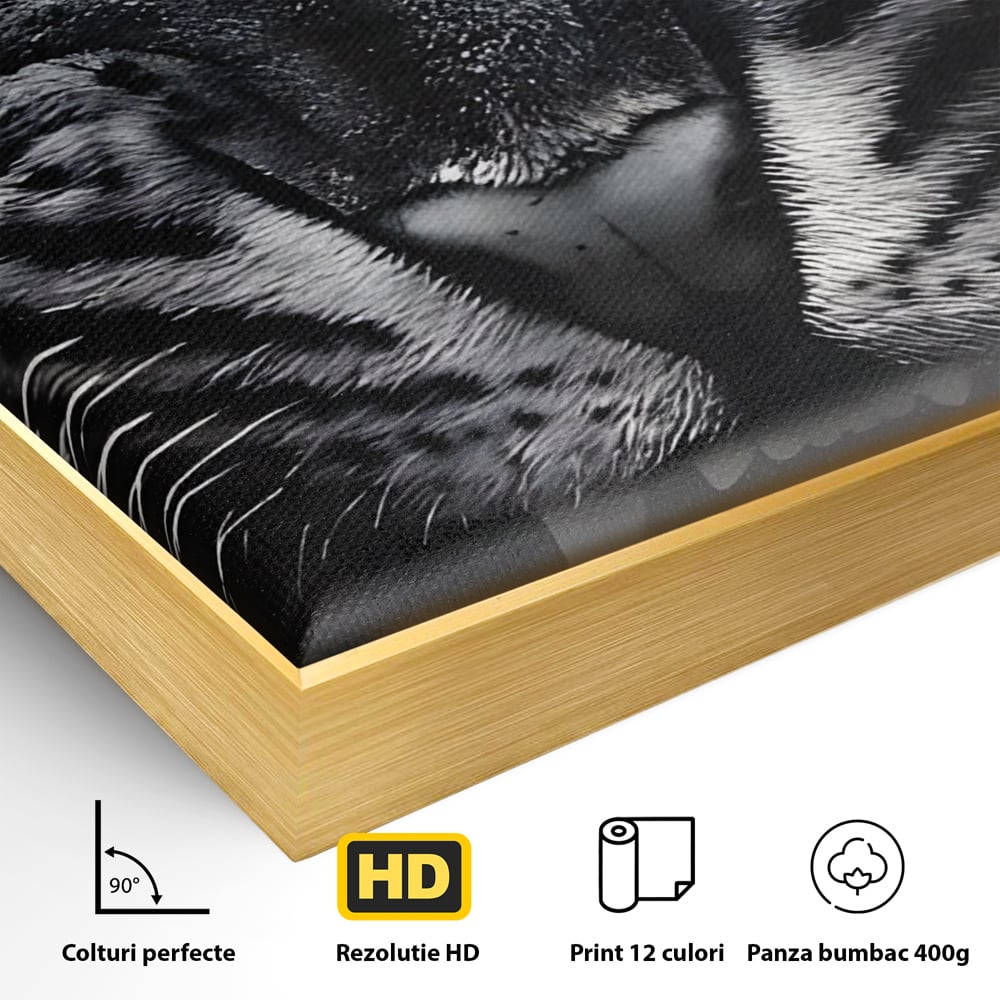 Detaliu al suprafetei: tablou canvas cu leu fioros, in rama de aluminiu auriu